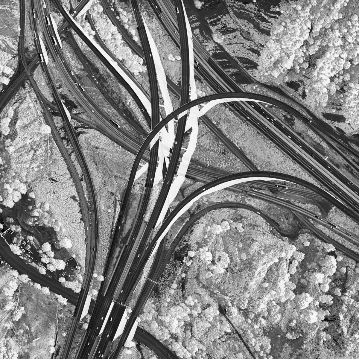 PRESS – David Maisel