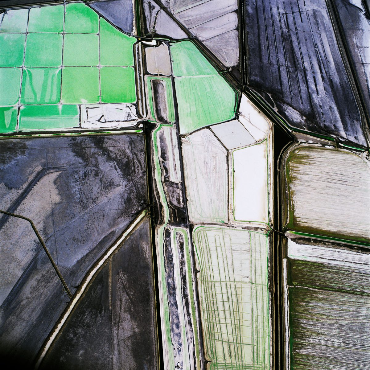 INTERVIEWS & TALKS – David Maisel