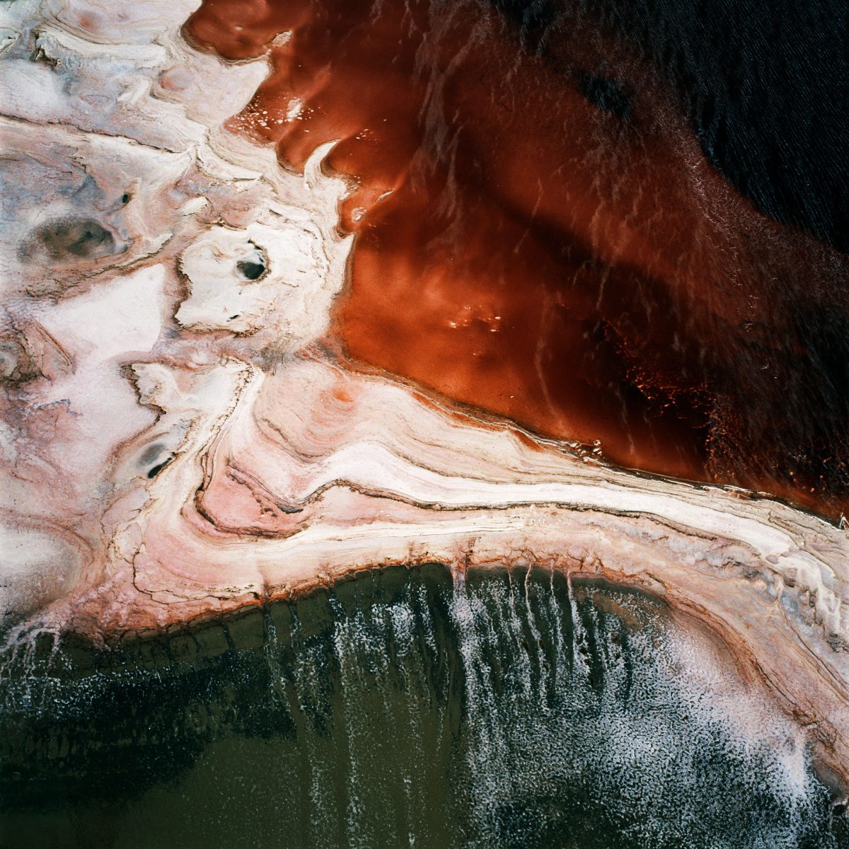 David Maisel – David Maisel