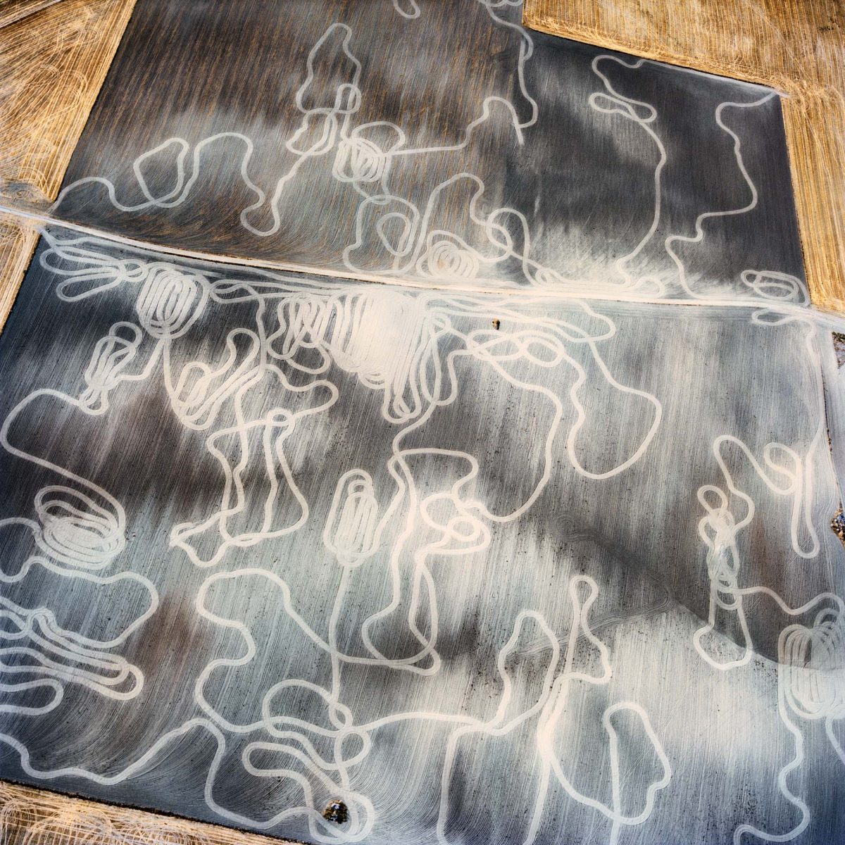 PRESS – David Maisel