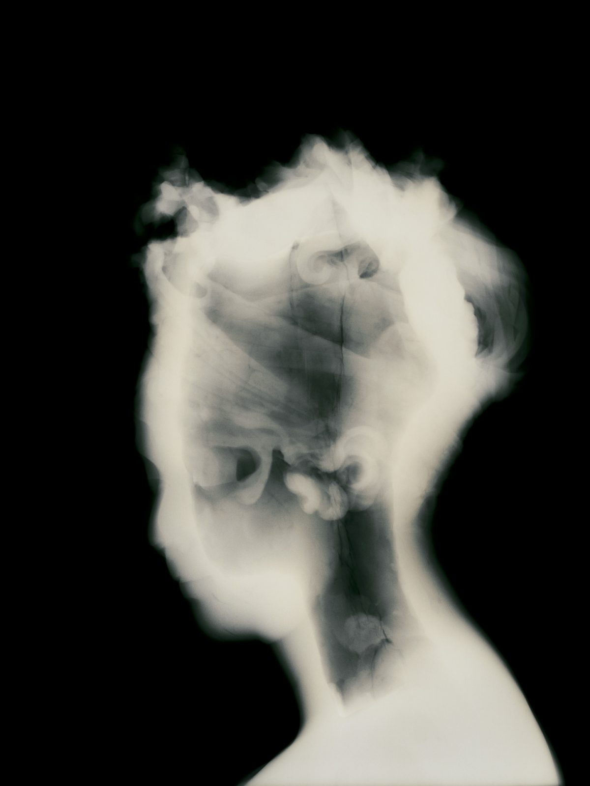 PRESS – David Maisel